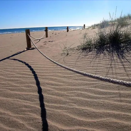 Illa Mar D'or 239